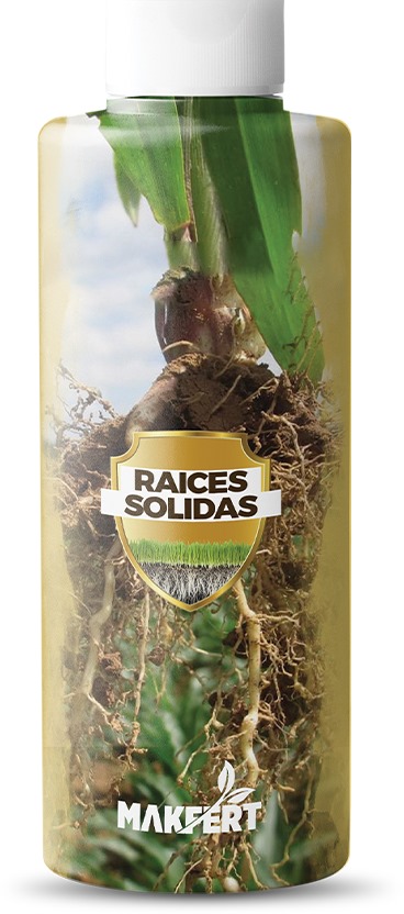 SPEZIALDÜNGER MAKFERT RAICES SOLIDAS 1L