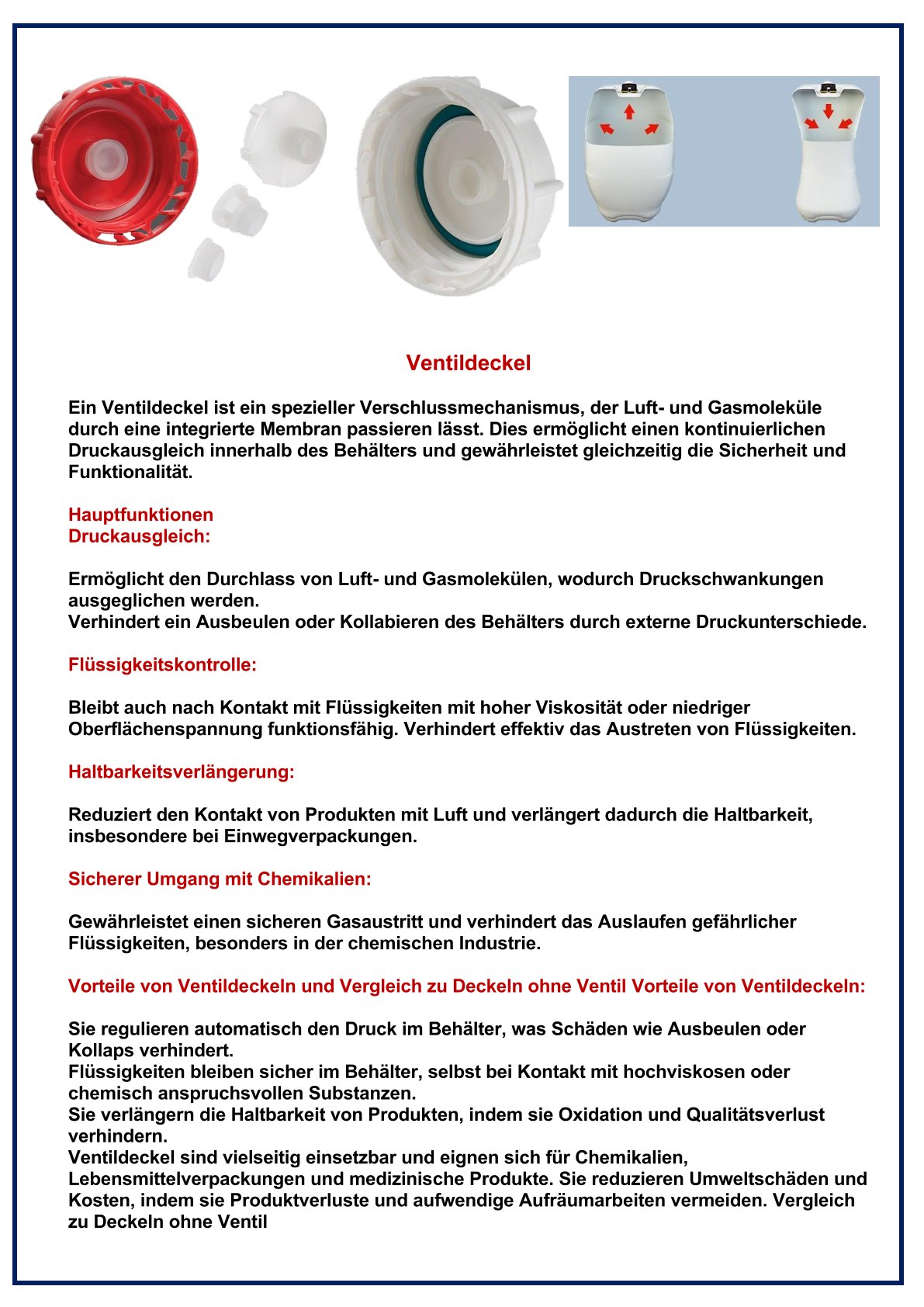 MAKFERT Rasen Dünger-SET flüssig  MAGNESIUM+N-ZN-FE 