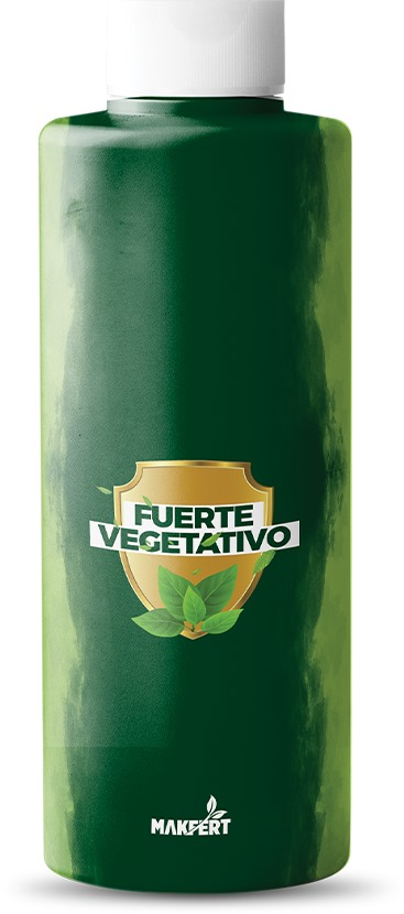 SPEZIALDÜNGER MAKFERT FUERTE VEGATATIVO 1L