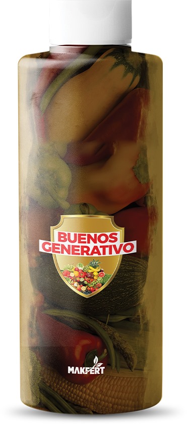 SPEZIALDÜNGER MAKFERT BUENOS GENERATIVO 1L